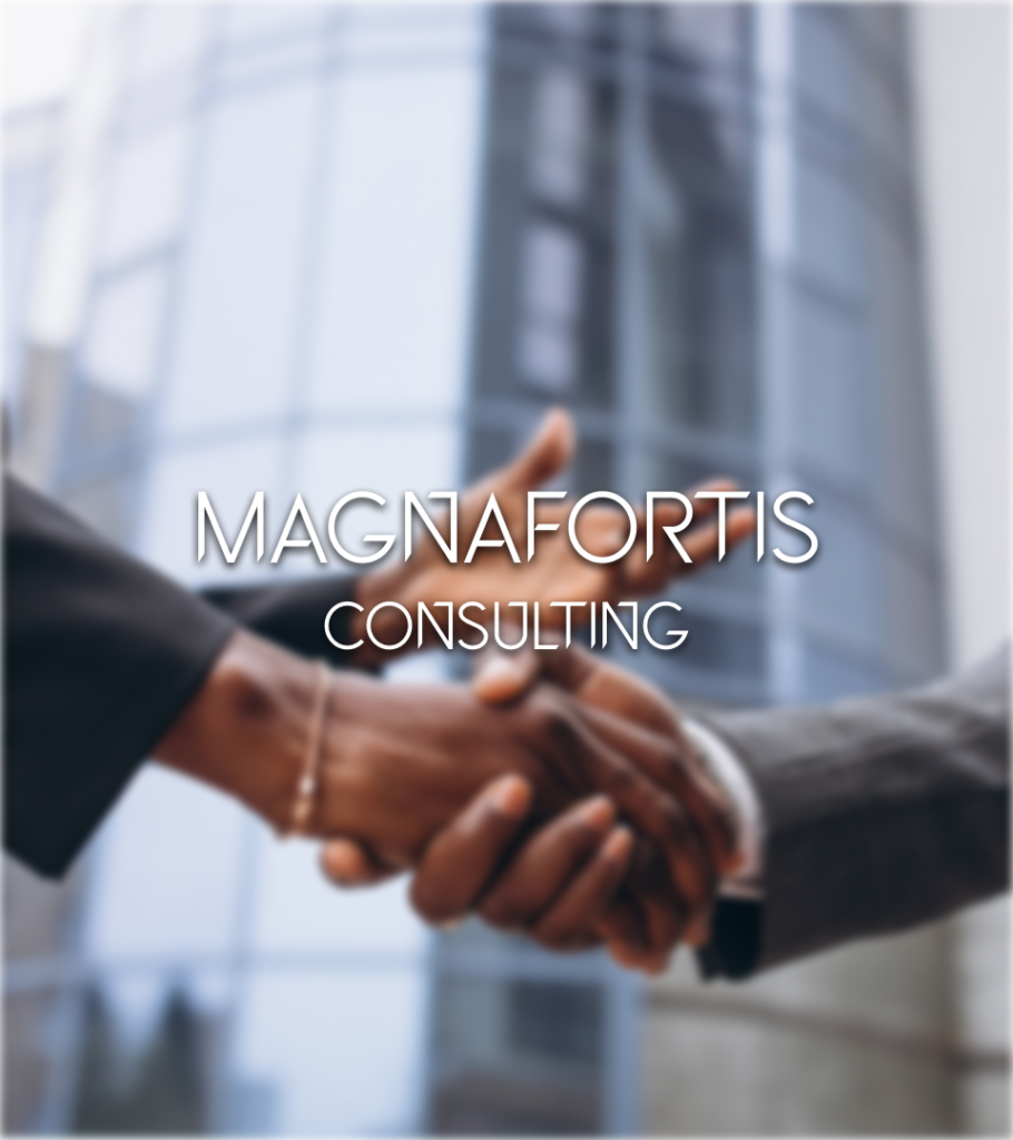 Business Consulting - Magnafortis